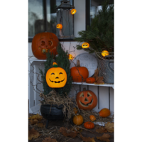 728-80,857-01_MB_001.png