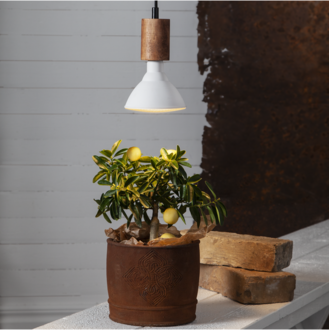LED-Lampe E27 PAR38 Plant Light