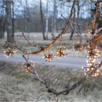 Lichterkette Flower Curtain