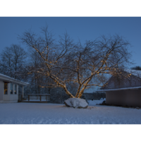 465-06,465-06-3,465-28_MB_007.png