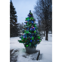497-97_MB_001.png